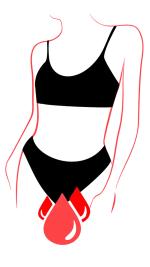 Bikinis menstruales