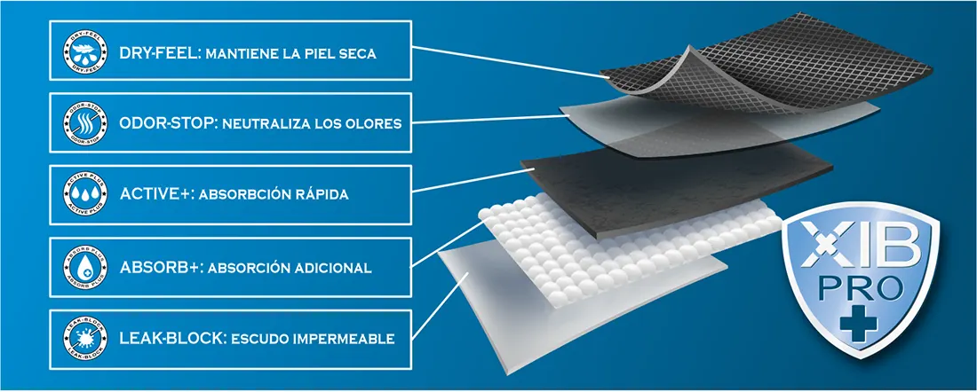XibPro cuatro capas